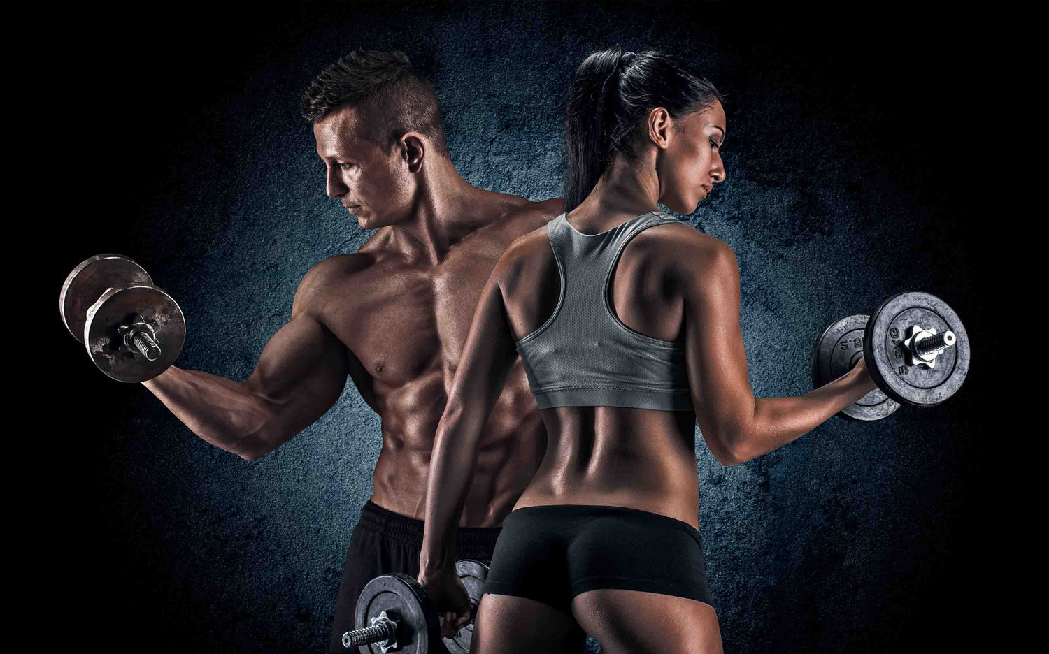 Fitness Accessories